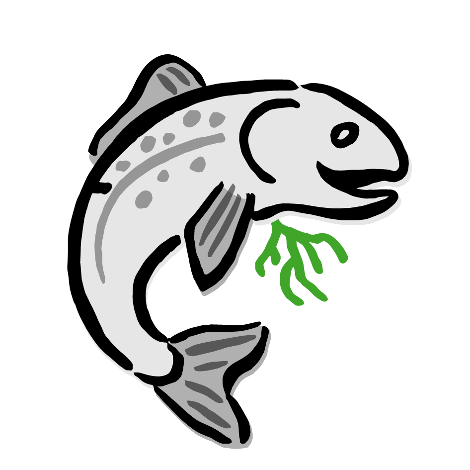 Quality Salmon icon