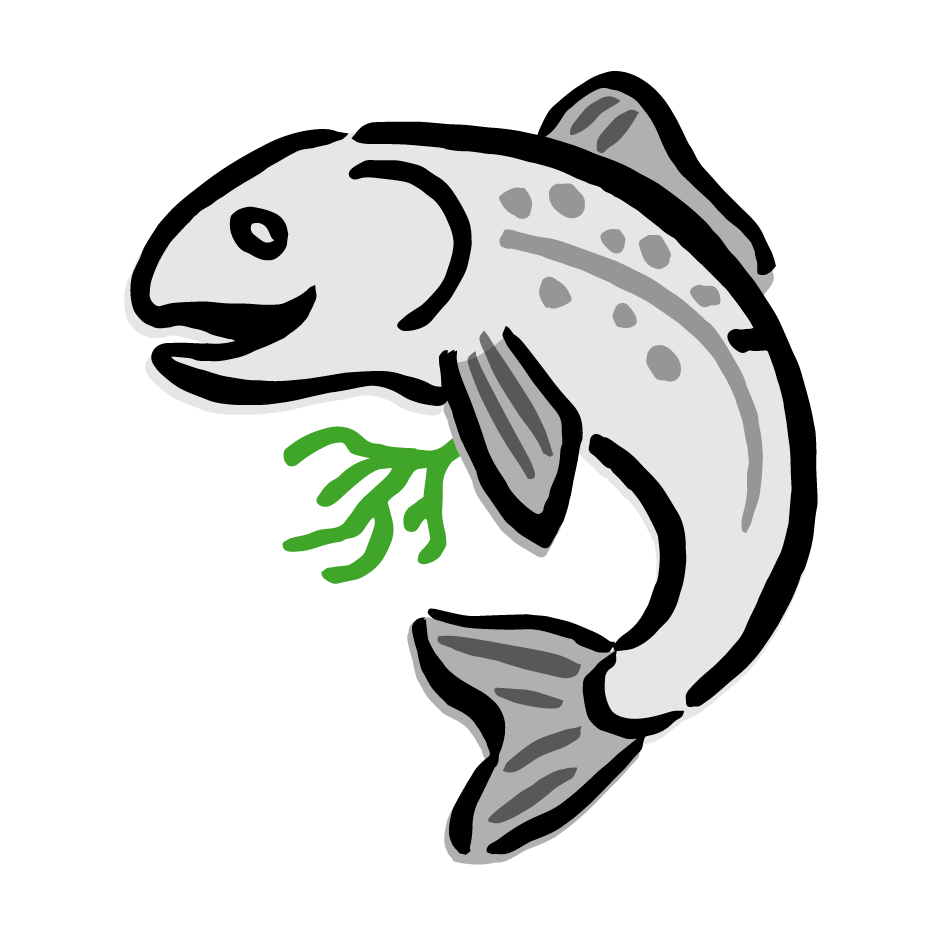 High Quality Fish icon