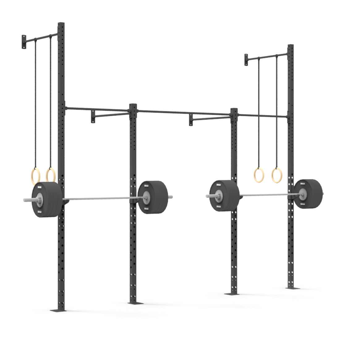 Wall Mounted Rig - 2 Squat Cell with Bridge - X-Frame