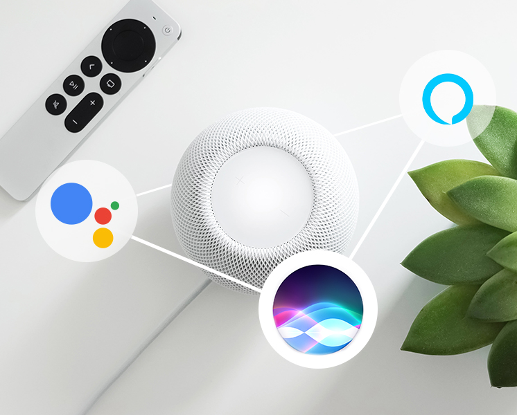 Who is the best voice assistant for you? Google Assistant, Siri or Alexa
