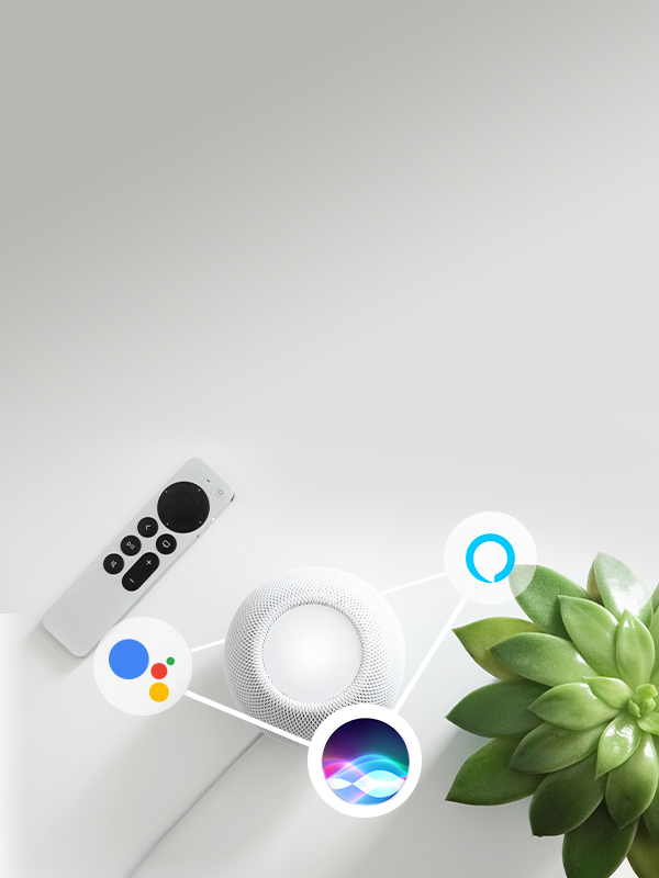 Which voice assistant is right for you: Google Assistant, Alexa, Siri, etc.