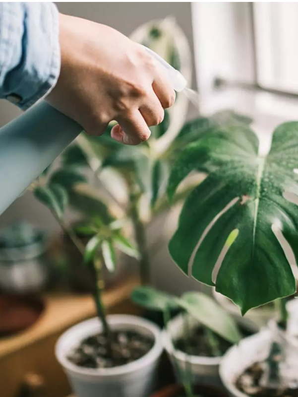 Best floor plant lights deals
