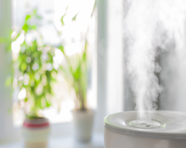 Smart Humidifiers Vs Traditional Humidifiers: Which One Is Better For You?