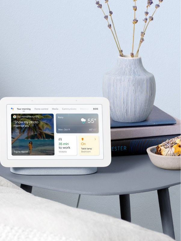 Google home hub hot sale comparison