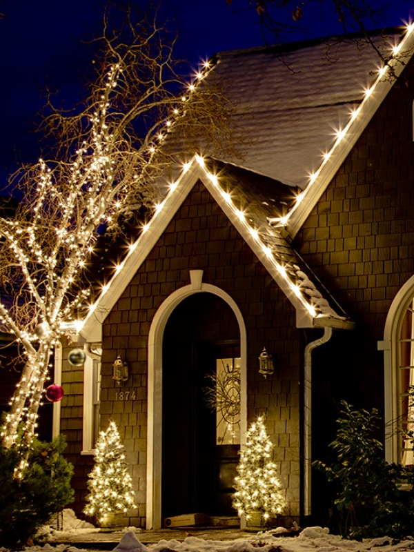 Outdoor smart plug controls Christmas lights for $20