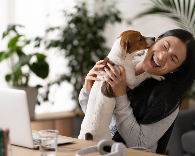 Revolutionize Pet Care with Smart Devices: How to Create Efficient Environments