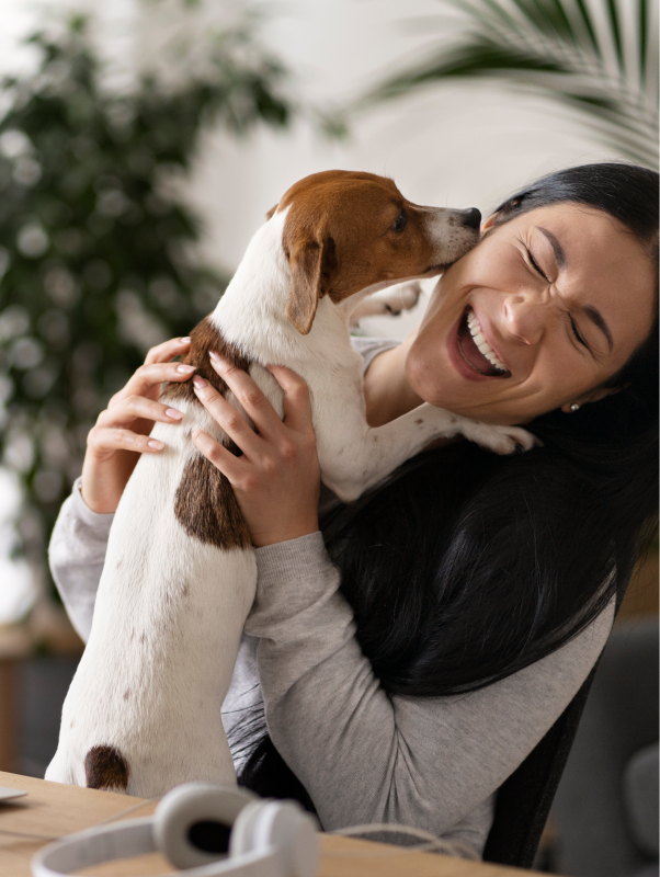 Revolutionize Pet Care with Smart Devices: How to Create Efficient Environments