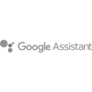 Google Assistant logo\n