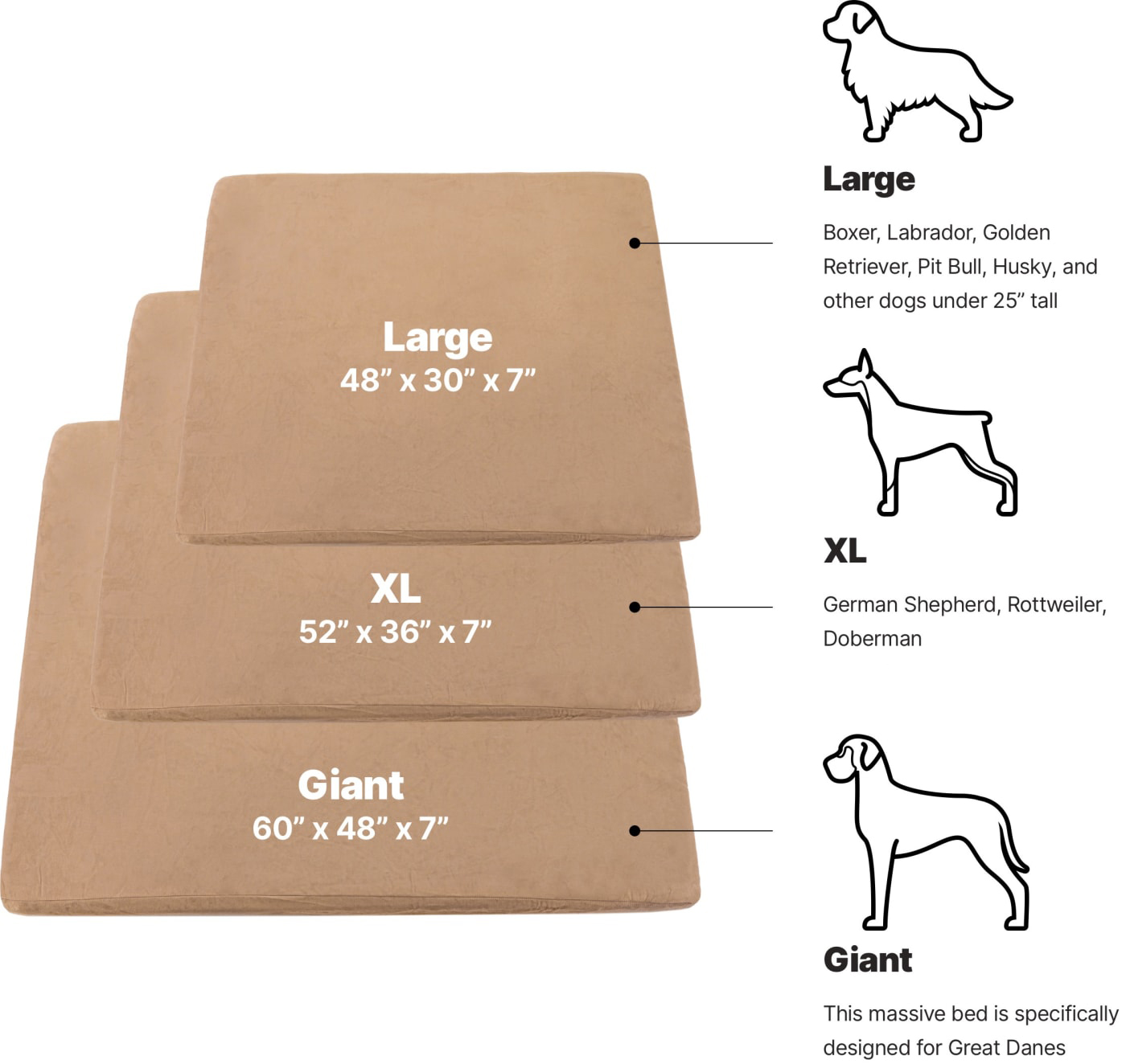 Orthopedic Dog Beds for Large & Extra Large Dogs Big Barker