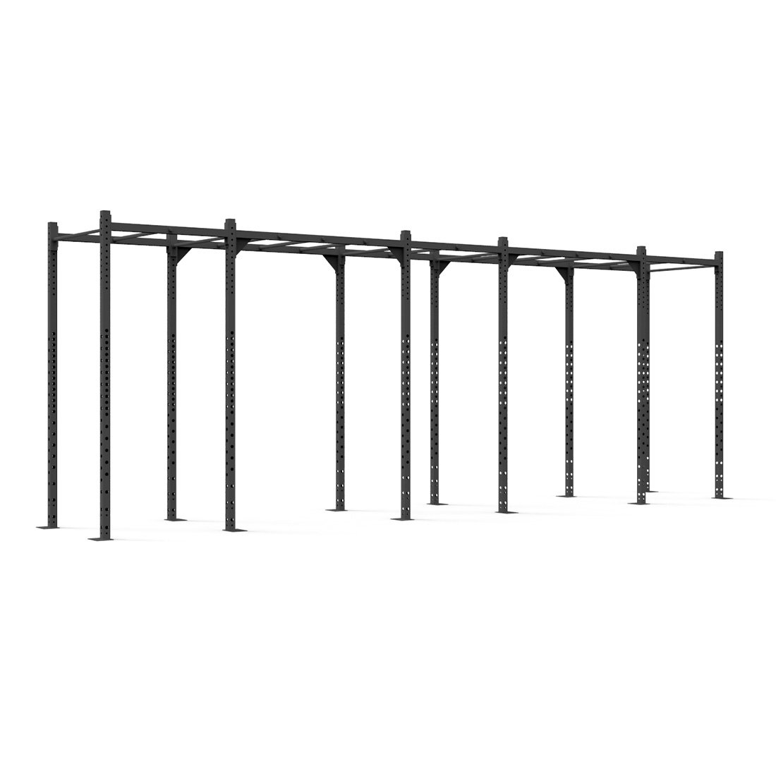 Rig - 6 Squat Cells with Monkey - X-Frame