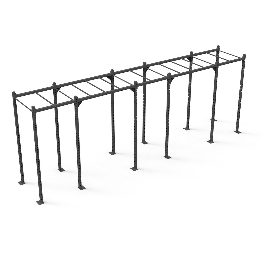 Rig - 6 Squat Cells with Monkey - X-Frame